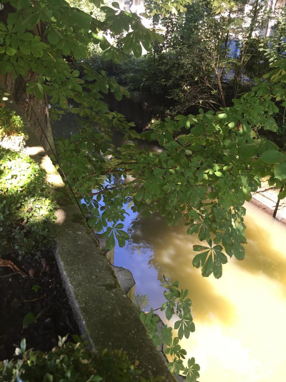 Hostellerie De La Riviere Saint-Étienne-au-Mont Kültér fotó